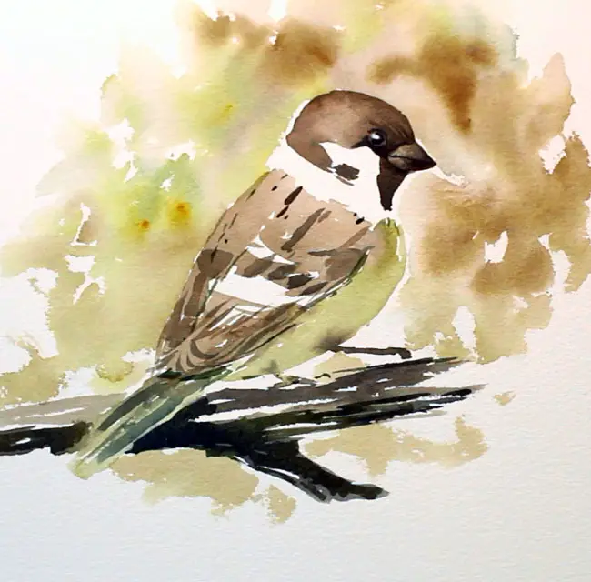 How To Paint Loose Watercolor Birds Sparrow Tutorial Solving Watercolour - Watercolour Painting Tutorial Pdf